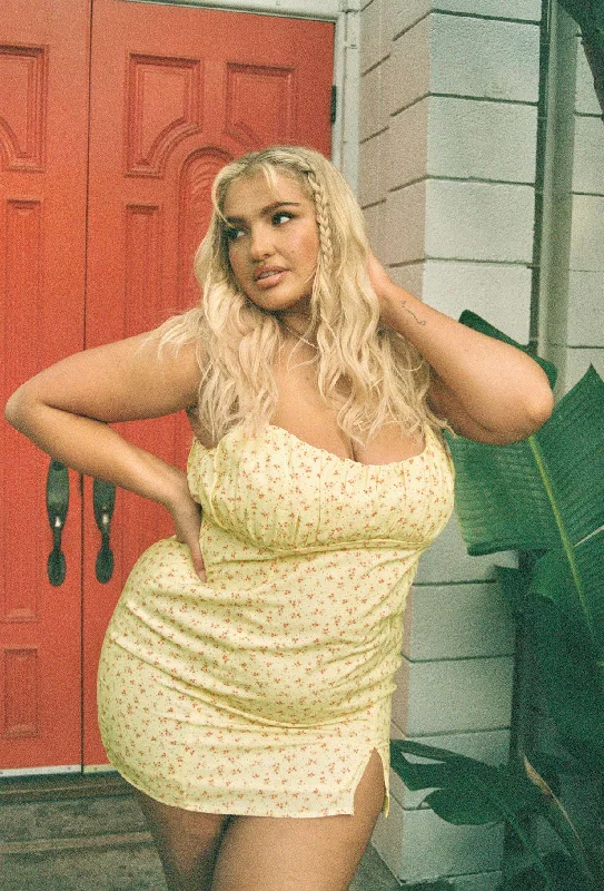 "Striped dresses for women with a classic touch"Freya Mini Dress Curve